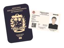 graphic of government documentation such as passport